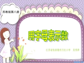 用字母表示数 (5)