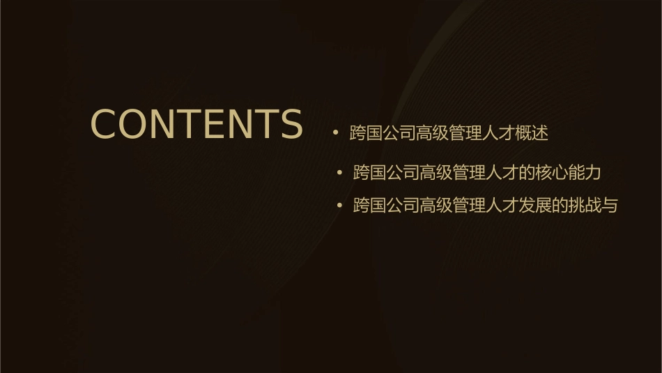 跨国公司高级管理人才的养成策略课件_第2页
