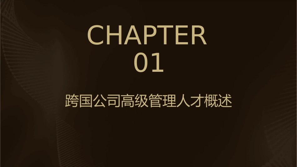 跨国公司高级管理人才的养成策略课件_第3页
