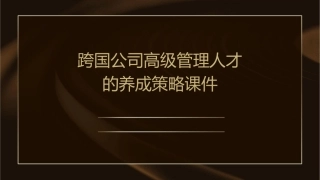 跨国公司高级管理人才的养成策略课件