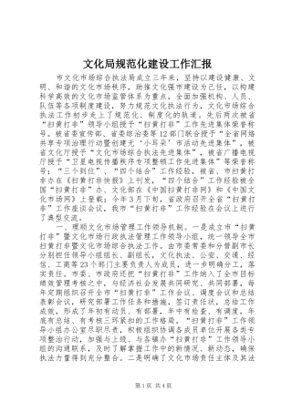 文化局规范化建设工作汇报