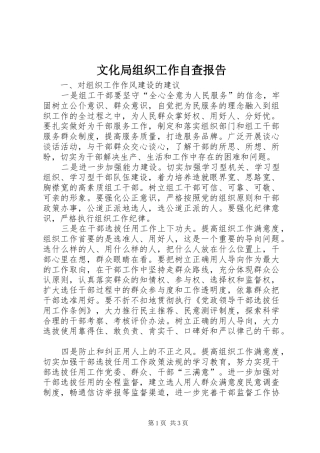文化局组织工作自查报告