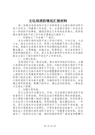 文化局消防情况汇报材料