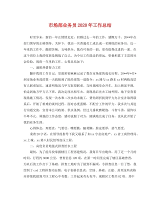 市场部业务员2020年工作总结 