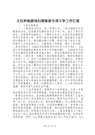文化和旅游局扫黑除恶专项斗争工作汇报