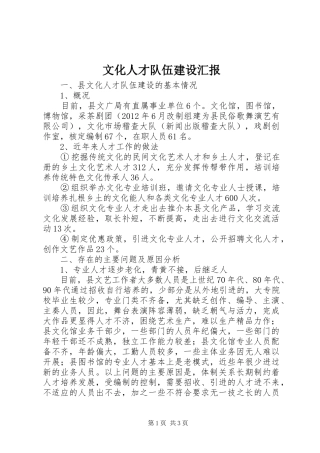 文化人才队伍建设汇报