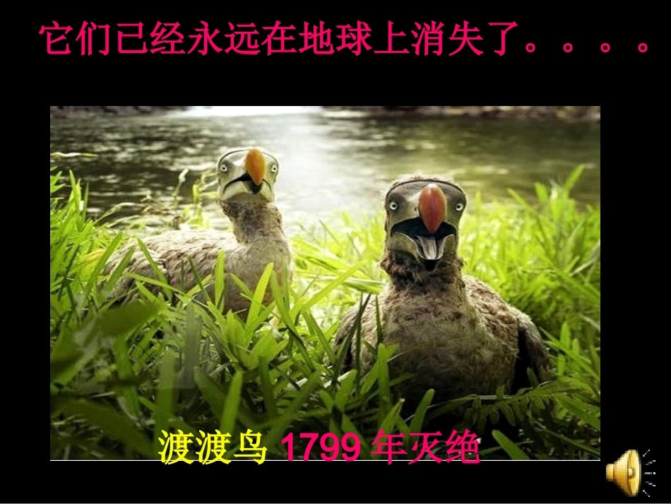 保护生物多样性孔祥兰_第2页