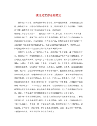 统计局工作总结范文 