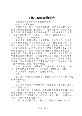文体办调研质询报告