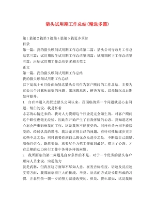 猎头试用期工作总结(精选多篇) 