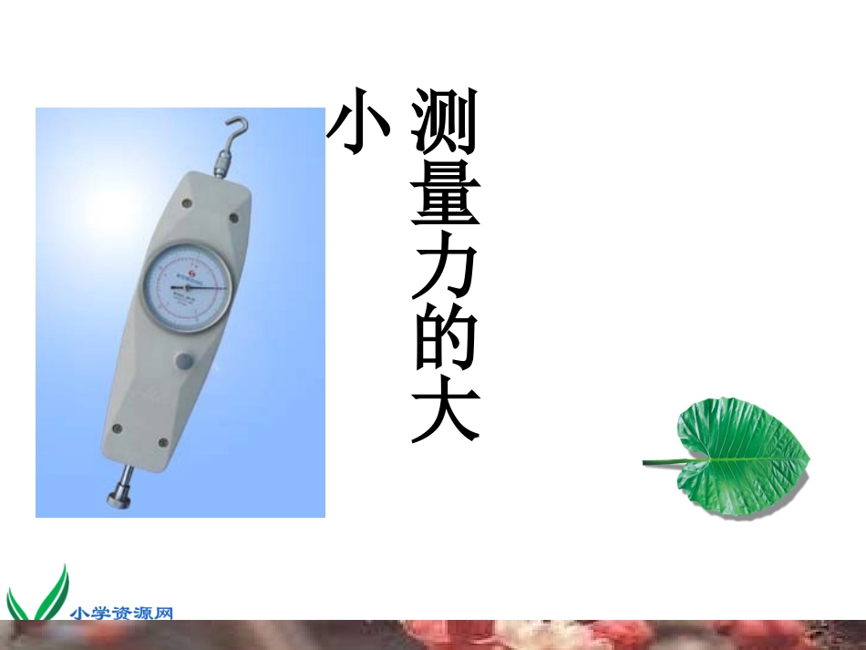 (教科版)五年级科学上册课件_测量力的大小_2_第2页