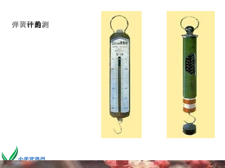 (教科版)五年级科学上册课件_测量力的大小_2_第3页