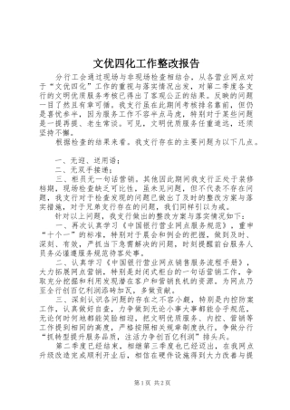 文优四化工作整改报告