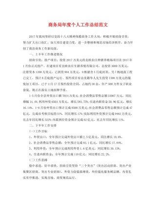 商务局年度个人工作总结范文 
