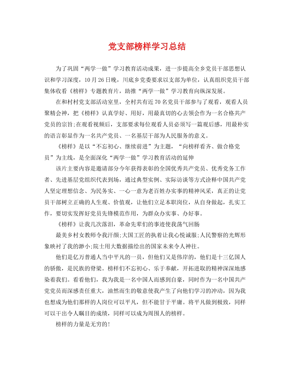 党支部榜样学习总结 _第1页