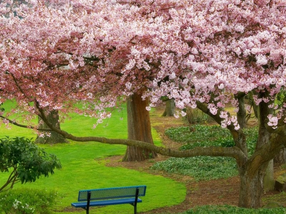 八年级物理下册第八章第三节摩擦力课件(1)_第1页