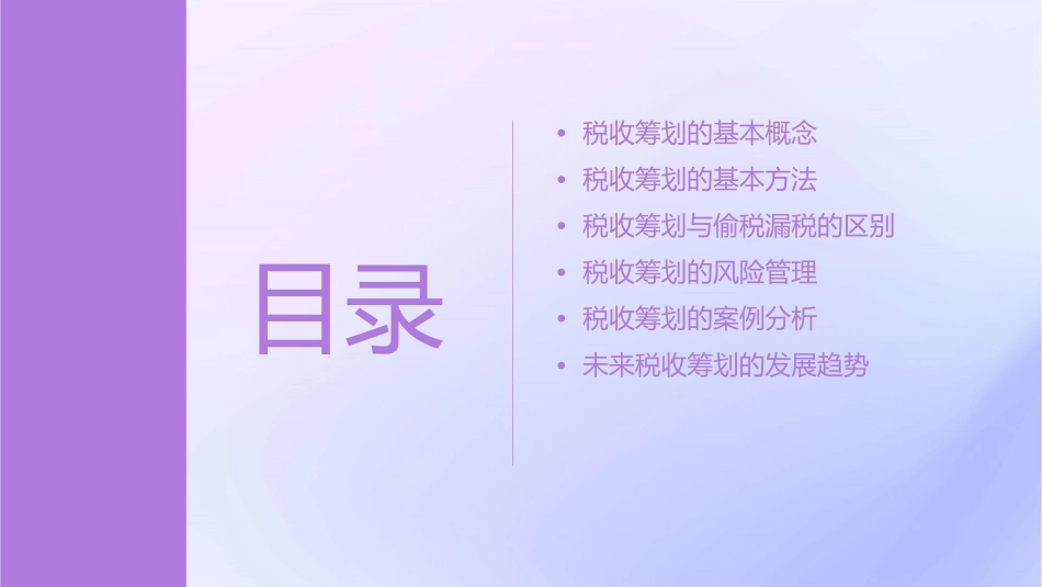 税收筹划的基本理论问题课件_第2页