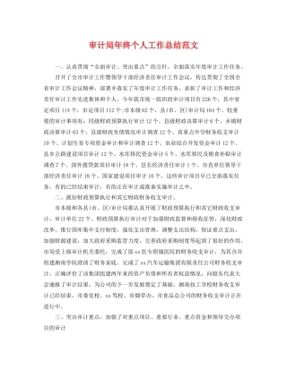 审计局年终个人工作总结范文 