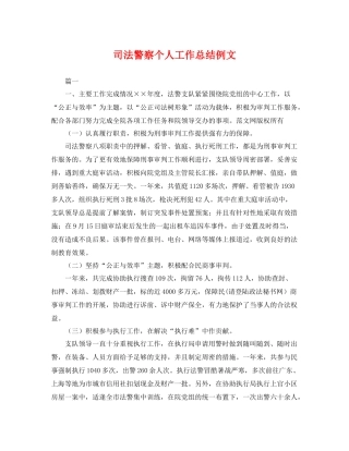 司法警察个人工作总结例文 