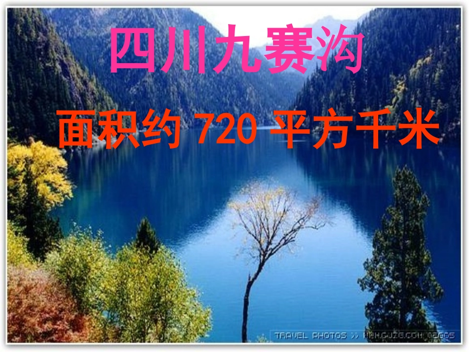 《认识公顷》课件_第3页