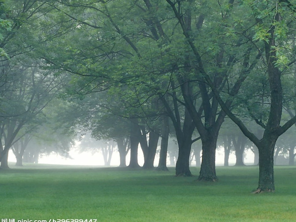 二年级上册《父亲和鸟修_第2页