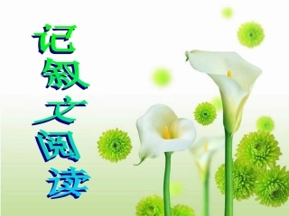 记叙文阅读复习