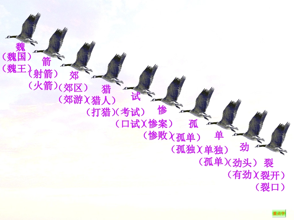 惊弓之鸟课件(1)_第3页