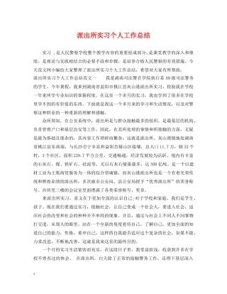 派出所实习个人工作总结 