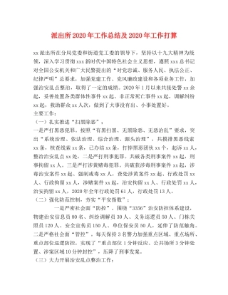 派出所2020年工作总结及2020年工作打算 