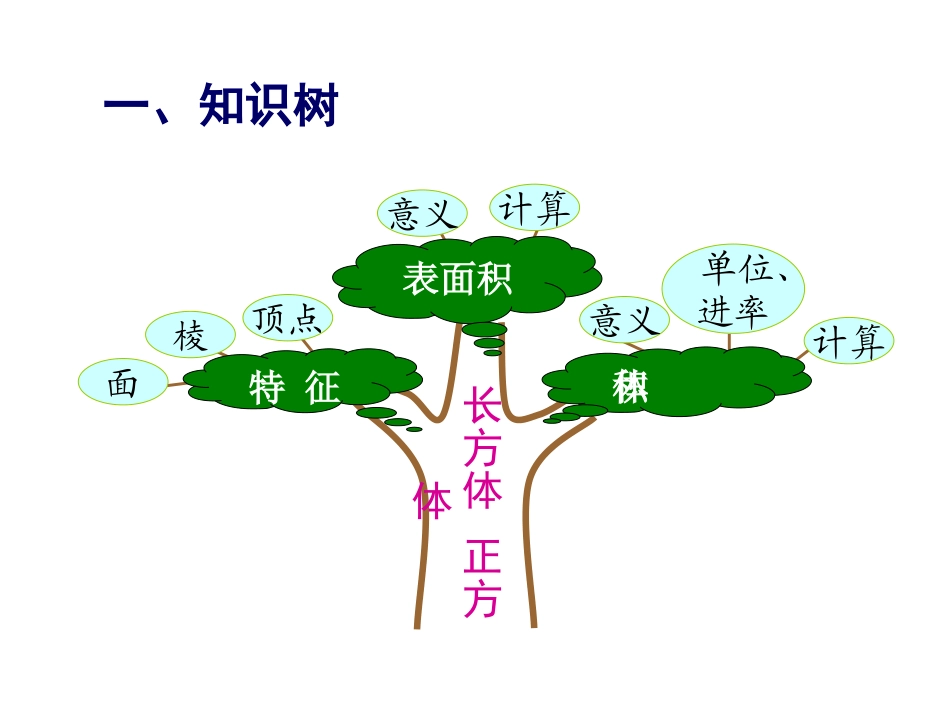 长方体与正方体的复习_第2页
