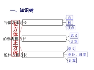 长方体与正方体的复习