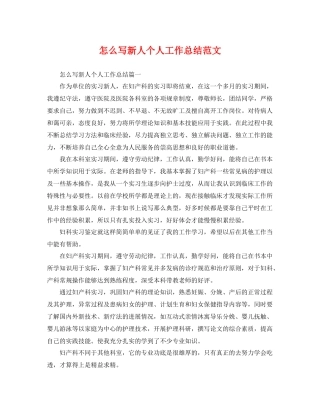 怎么写新人个人工作总结范文 