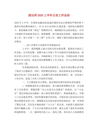 派出所2020上半年公安工作总结 