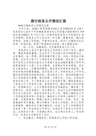 推行政务公开情况汇报