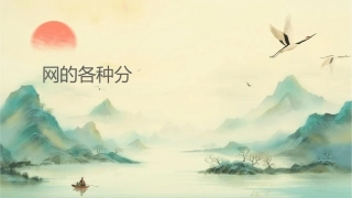 网络的各种分类课件