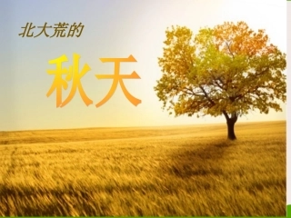 北大荒的秋天