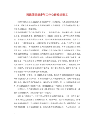 民族团结进步年工作心得总结范文 