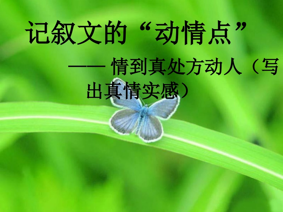 情到真处方动人——写出真情实感_第3页