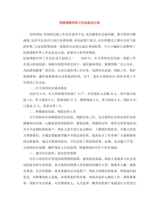 民政残联年终工作总结及计划 