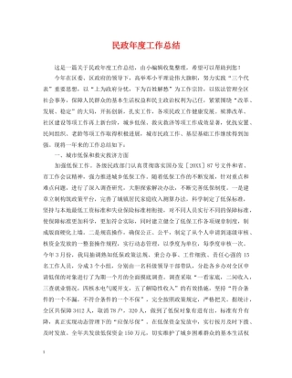 民政年度工作总结 