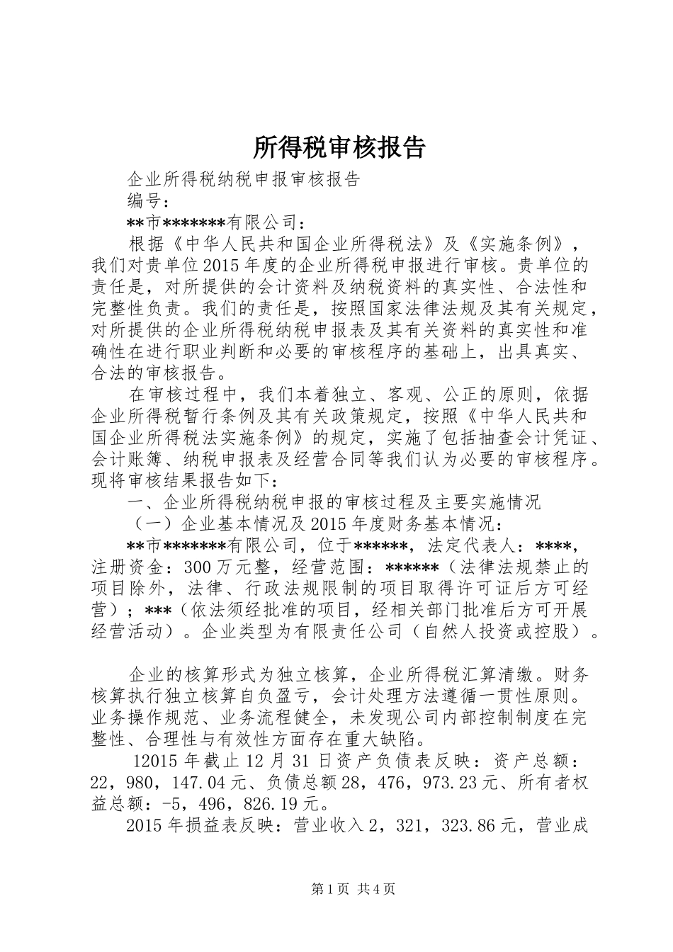所得税审核报告_第1页