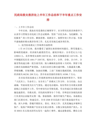 民政局救灾救济处上半年工作总结和下半年重点工作安排 
