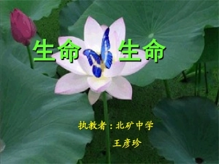 《生命生命》1课件