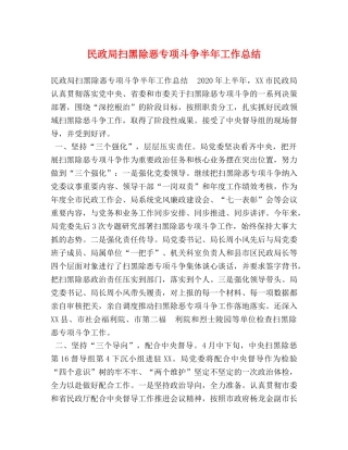民政局扫黑除恶专项斗争半年工作总结 