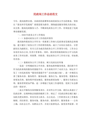 民政局工作总结范文 