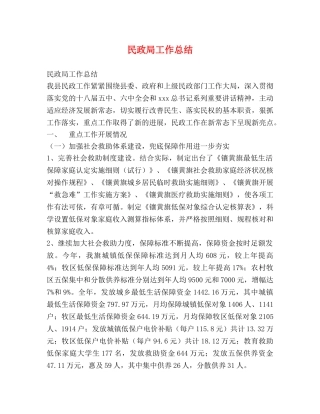 民政局工作总结 