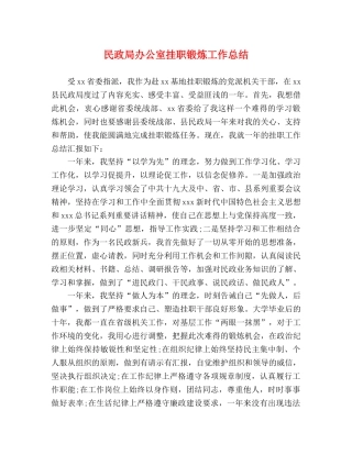 民政局办公室挂职锻炼工作总结 