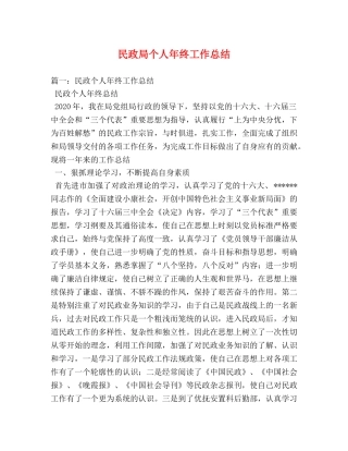 民政局个人年终工作总结 