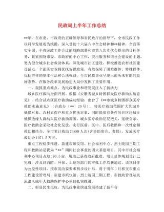 民政局上半年工作总结2 