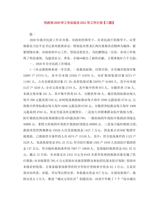 民政局2020年工作总结及2021年工作计划【三篇】 